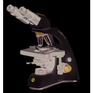 Kính hiển vi sinh học Euromex - BB.1152 ‑ PLi