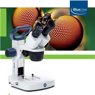Kính hiển vi soi nổi - Dòng EduBlue