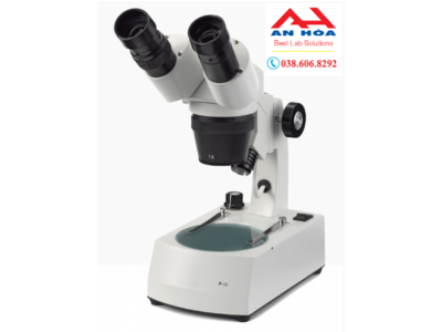 KÍNH HIỂN VI SOI NỔI EUROMEX NOVEX P-10