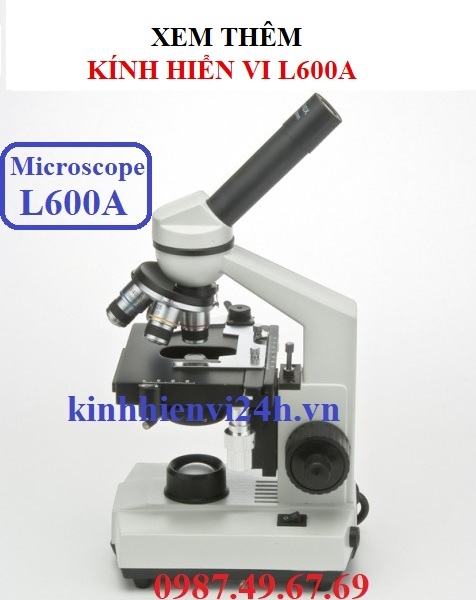 Kính hiển vi soi tinh