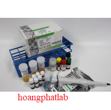 KIT ELISA KIỂM TRA DƯ LƯỢNG MULTI-SULFONAMIDES