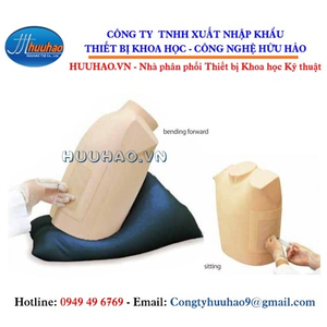 Mô hình thực hành chọc dịch màng phổi từ sau lưng