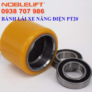 BÁNH TẢI PT20N