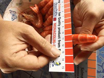 Bổ sung bí đỏ làm thức ăn cho tôm thẻ chân trắng: chất lượng tôm cải thiện và chi phí rẻ hơn