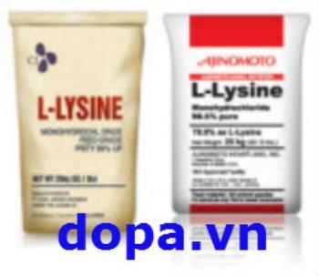 L- Lysine 98,5% Nguyên Liệu Trộn Thức Ăn Chăn Nuôi