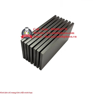 LÁ CHỖI BUSCH 69X44X4 mm