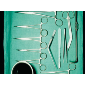 Nồi hấp ướt tiệt trùng để bàn 40 Lít Class S, LAC-2031SN, Daihan Labtech Model: LAC-2031SN