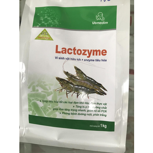 LACTOZYME