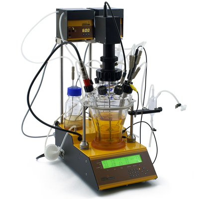 laboratory fermentor