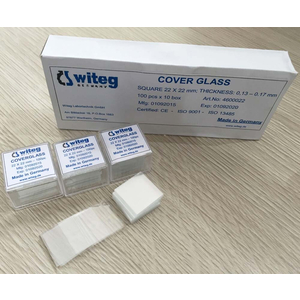 Lammen Witeg 22 x 22mm