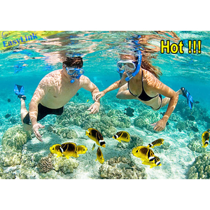 Tour 1 Ngày Đảo Phú Quốc [LẶN BIỂN NGẮM SAN HÔ CÂU CÁ]