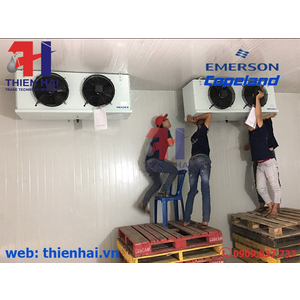 KỸ THUẬT XẾP HÀNG HÓA TRONG KHO LẠNH