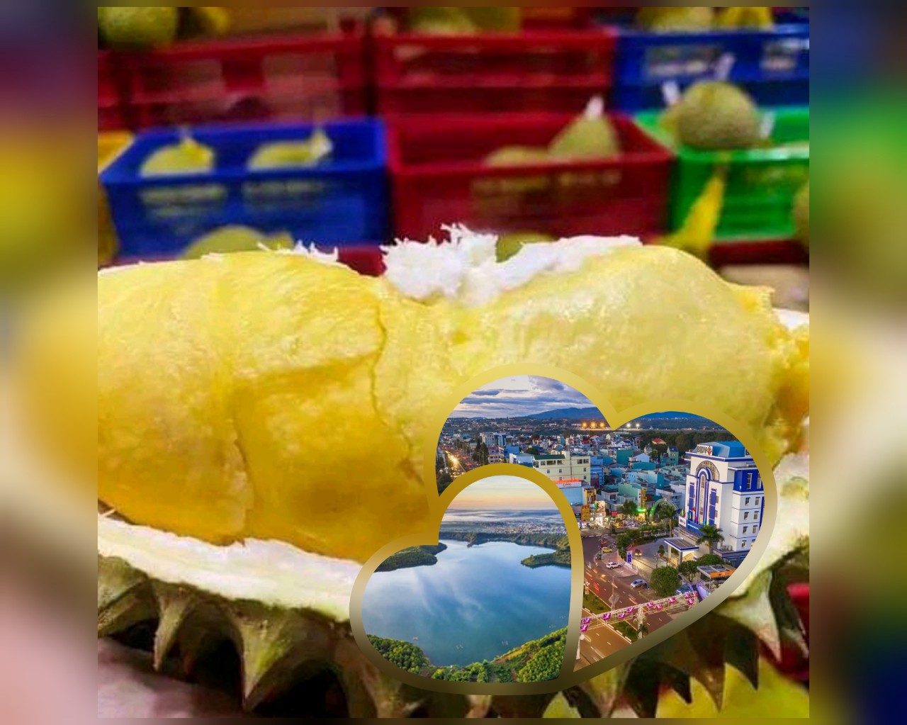 LẮP ĐẶT KHO LẠNH BẢO QUẢN SẦU RIÊNG TẠI GIA LAI