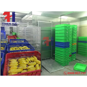 LẮP ĐẶT KHO LẠNH BẢO QUẢN SẦU RIÊNG TẠI GIA LAI