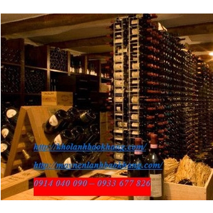 LẮP ĐẶT KHO LẠNH TRỮ ĐÔNG