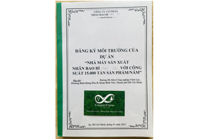 LẬP HỒ SƠ ĐĂNG KÝ MÔI TRƯỜNG CHO DOANH NGHIỆP