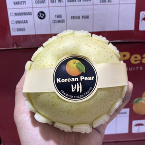 Lê Sữa Hàn Quốc