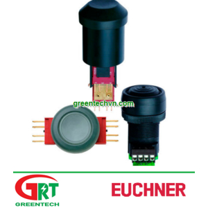 Euchner ES | Công tắc mức nước | Lever switch / single-pole ZSG, ZSE, ZXE series