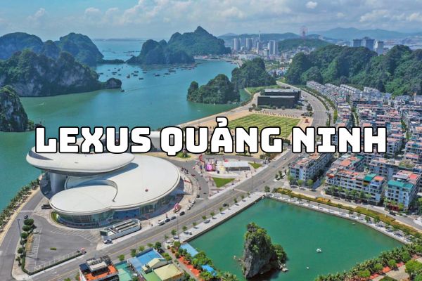 Lexus Quảng Ninh - Hướng Dẫn Mua Xe Lexus Tại Khu Vực Quảng Ninh