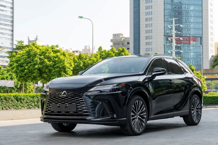 Lexus RX 350 màu đen graphite black (223)