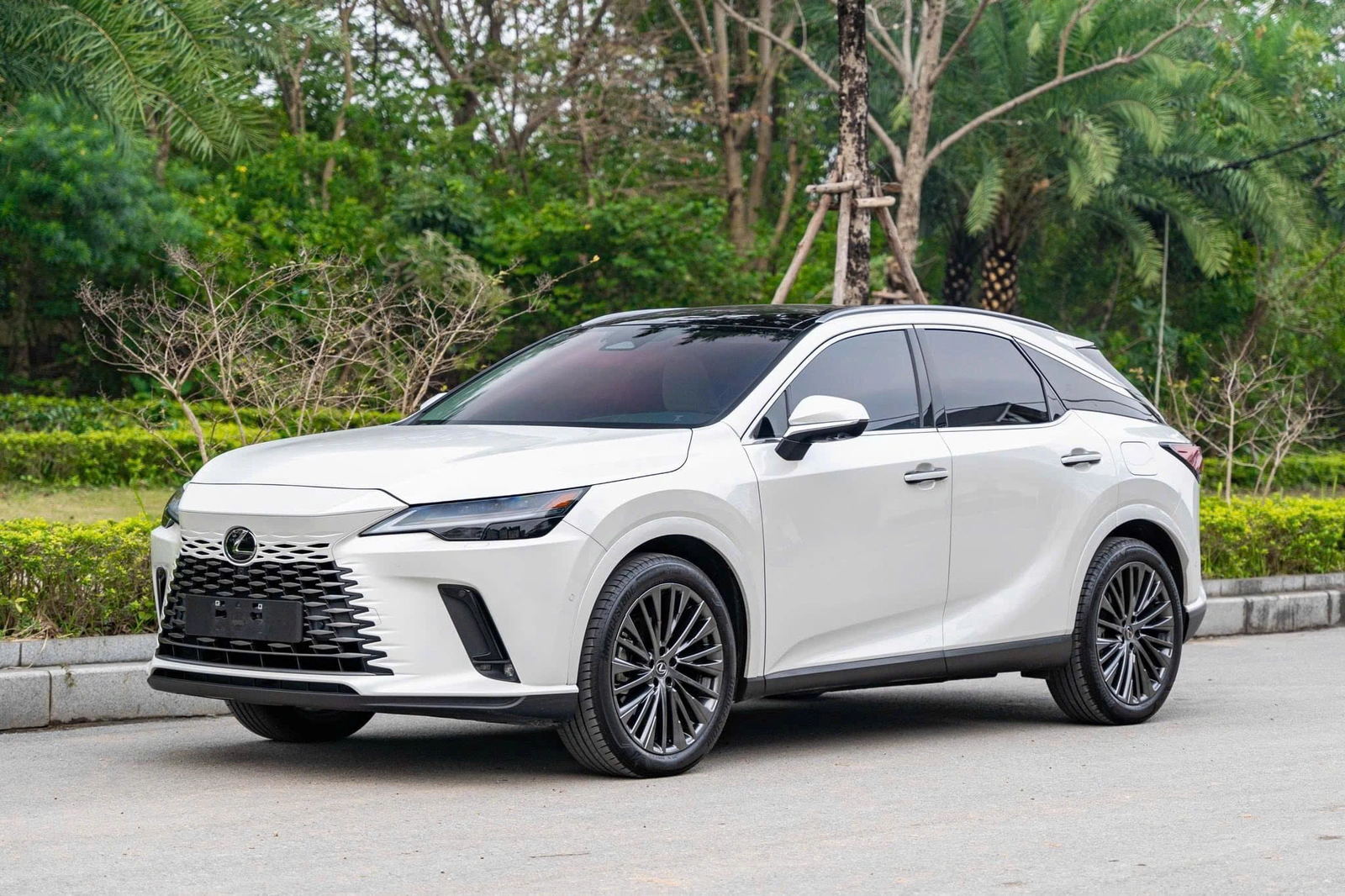 Lexus RX 350h Luxury