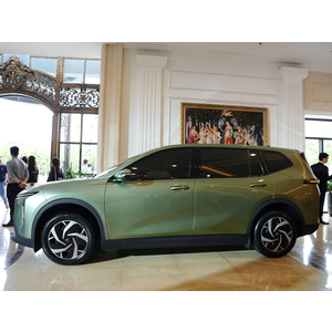 VinFast Limo Green - Giá Lăn Bánh & Khuyến Mãi