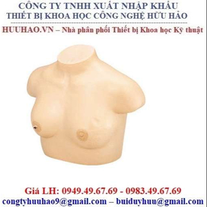 Mô hình khám ngực LM-018