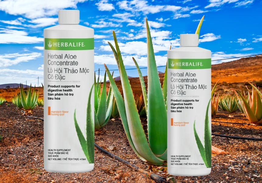 Nước lô hội thảo mộc cô đặc Herbalife