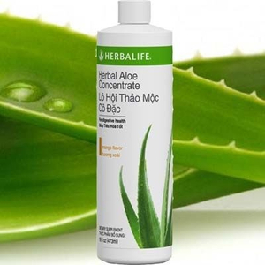 Lô hội thảo mộc cô đặc (Herbalife Aloe) hỗ trợ tiêu hóa