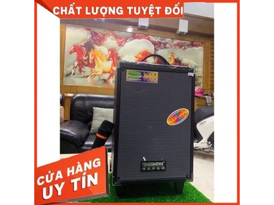 Loa kéo di động Temeisheng A8-2