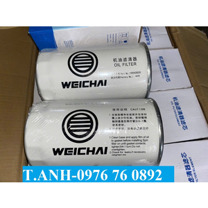 Lọc Weichai 205