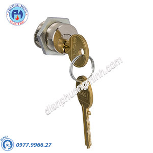 Locking of rotary handle-Keylock (Ronis) - Model 41940