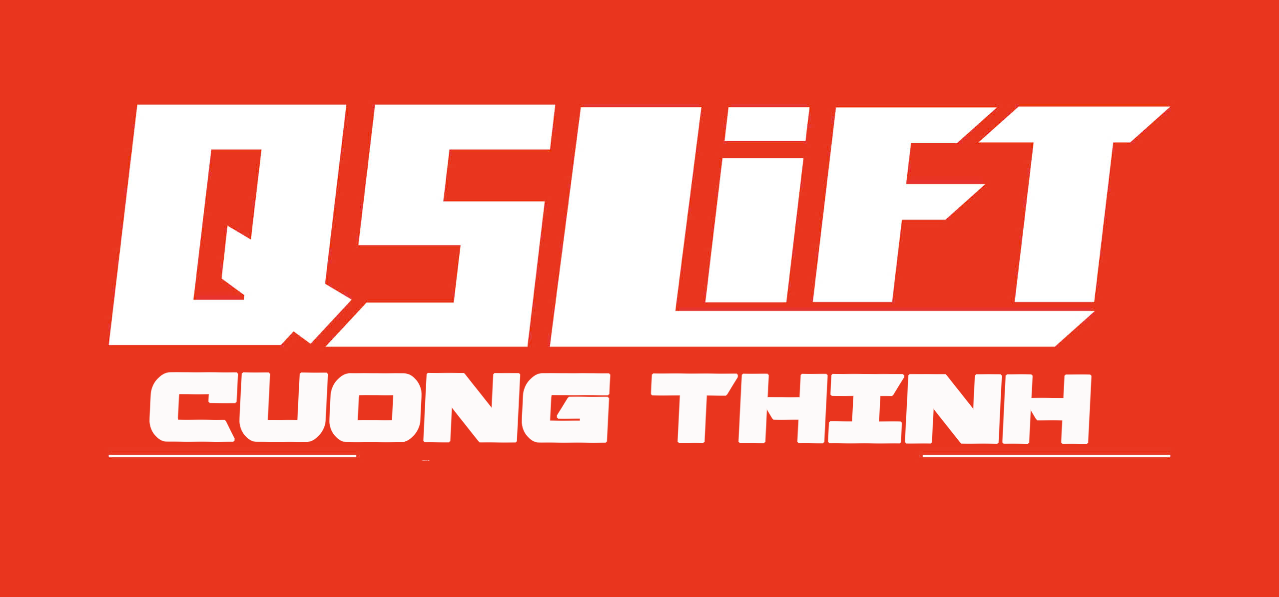 Dịch Vụ Cho Thuê Xe Nâng Hàng, Xe Nâng Người Các Loại