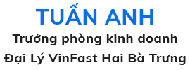 VinFast Hai Bà Trưng