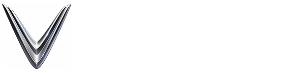 VinFast Newway Trường Chinh