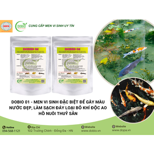 Lợi Ích Đáng Kinh Ngạc Của DOBIO 01 – Sản Phẩm Hoàn Hảo Cho Ao Nuôi Thủy Sản