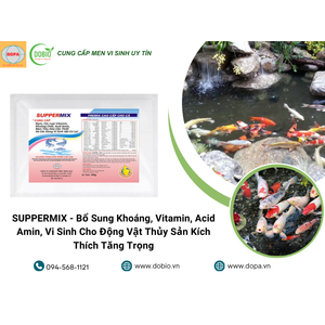 Lợi Ích Nổi Bật Của SUPPERMIX – Giải Pháp Toàn Diện Cho Ao Nuôi Thủy Sản