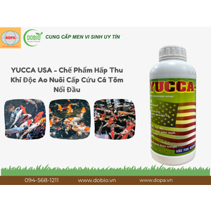 Lợi Ích Nổi Bật Của YUCCA USA – Sản Phẩm Hỗ Trợ Ao Nuôi Thủy Sản Tuyệt Vời
