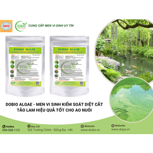 Lợi Ích Tuyệt Vời Của DOBIO ALGAE – Giải Pháp Hoàn Hảo Cho Ao Nuôi Thủy Sản