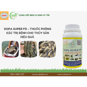 Lợi Ích Tuyệt Vời Của DOPA SUPER FD – Giải Pháp Hoàn Hảo Cho Ao Nuôi Thủy Sản