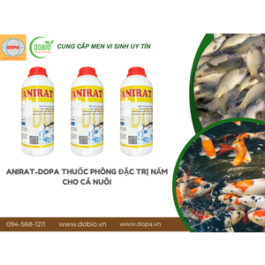 Lợi Ích Vượt Trội Của ANIRAT-DOPA Cho Ao Nuôi Thủy Sản