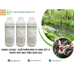 Lợi Ích Vượt Trội Của DOBIO CLEAN Cho Ao Nuôi Thủy Sản
