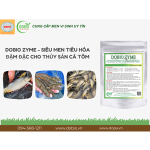 Lợi Ích Vượt Trội Của DOBIO ZYME – Bí Quyết Nuôi Thủy Sản Thành Công