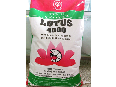 LOTUS 4000