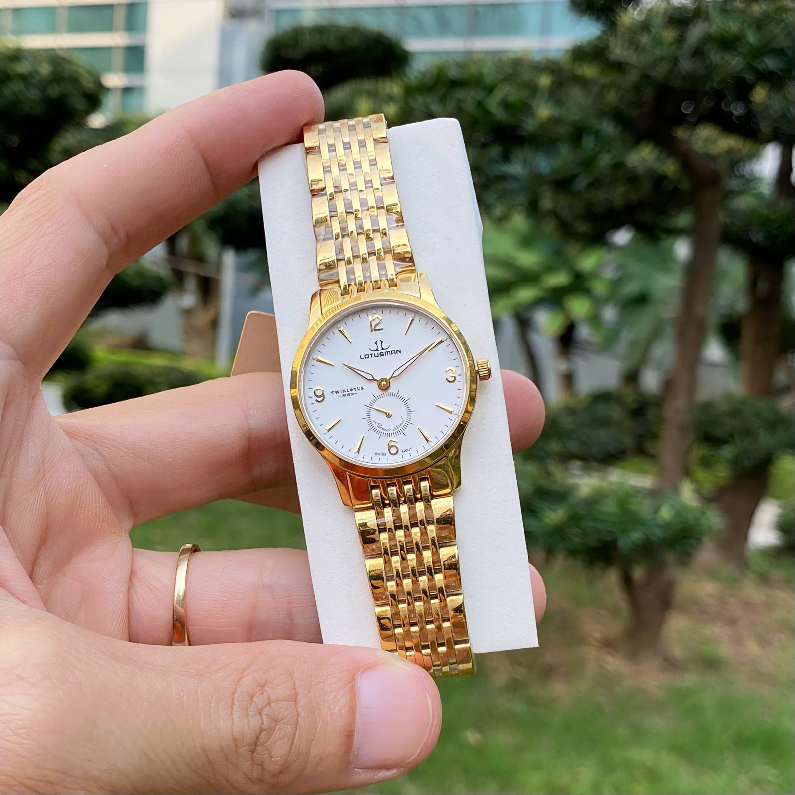 Đồng hồ nữ Lotusman L501B.GGW chính hãng