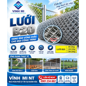 Lưới B20