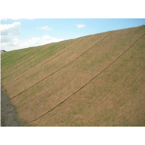 Thảm dệt xơ dừa, lưới xơ dừa, gối ôm xơ dừa, lưới che nắng xơ dừa