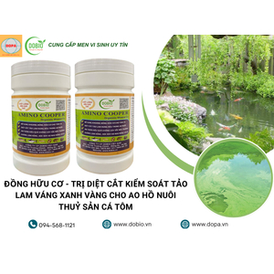 Lý Do Amino Cooper Là Sản Phẩm Tuyệt Vời Cho Ao Nuôi Thủy Sản