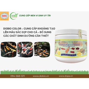 Lý Do DOBIO COLOR Là Giải Pháp Tuyệt Vời Cho Ao Nuôi Thủy Sản