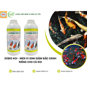 Lý Do DOBIO KOI Là Lựa Chọn Tuyệt Vời Cho Ao Nuôi Thủy Sản